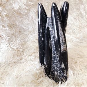 RARE 8in Orthoceras Crystal Fossil Centerpiece